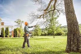 Best Tree Disease Treatment  in Metlatla, AK